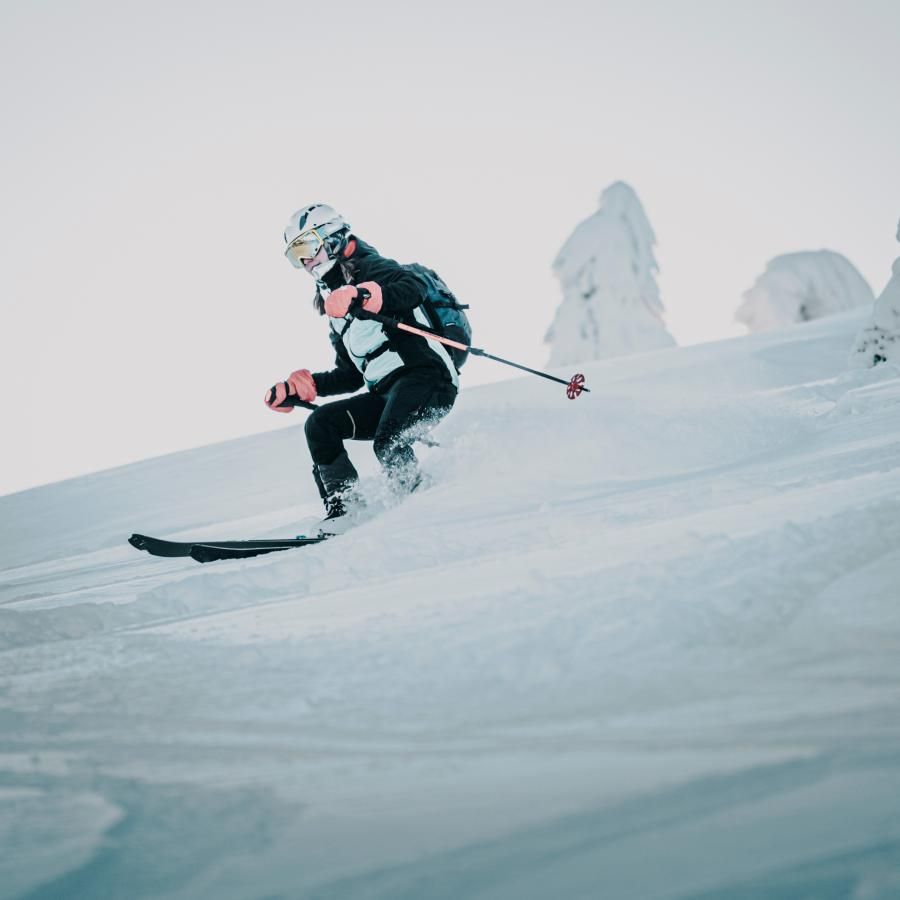 imageTitle Imagen gamas ski